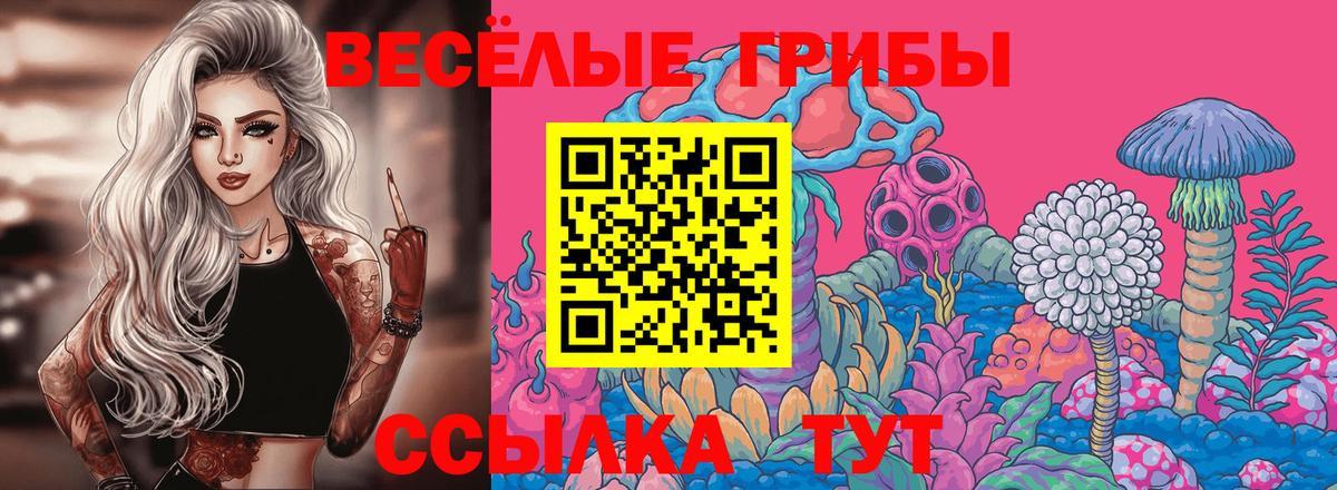 Галлюциногенные грибы ЛСД  Вход с VPN  Псилоцибиновые грибы Psilocybine cubensis  Михайловск 