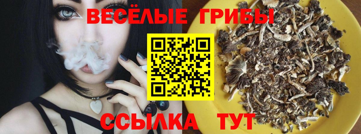 Галлюциногенные грибы мицелий Михайловск